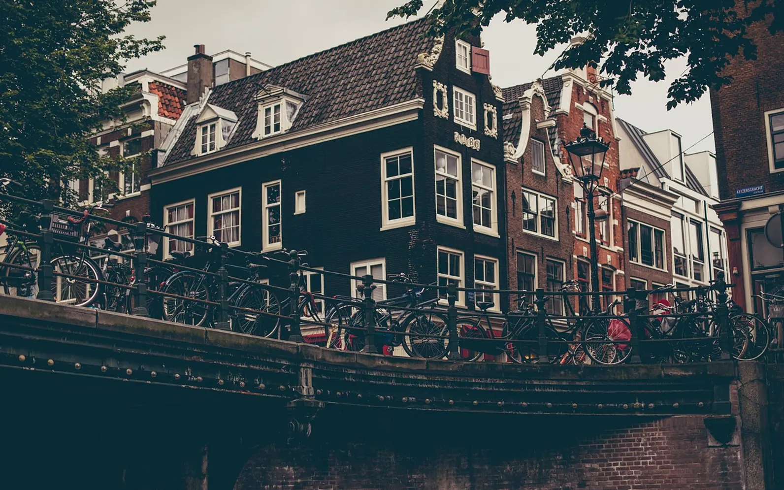 Amsterdam, nature and canal
